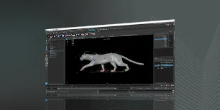 Maya Creative